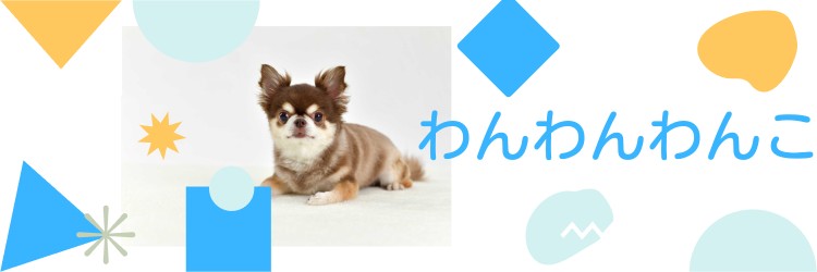 カワイイがいっぱい！ワンダーランド